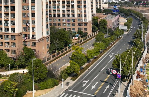 10條精品街道綠化工程全面上新，城市面貌煥然一新
