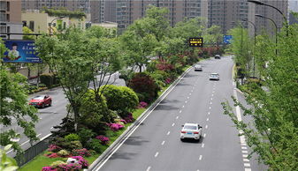 特色蘊于細節，匠心鑄就精品——論綠化工程的卓越之道